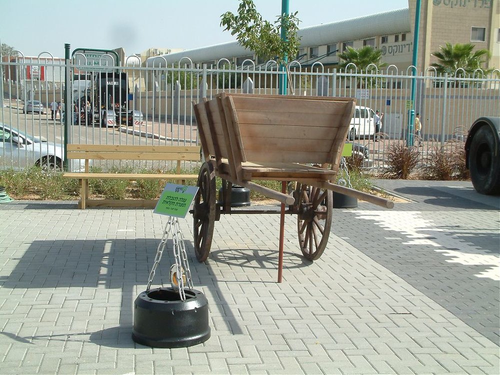 DSCF0923.jpg
