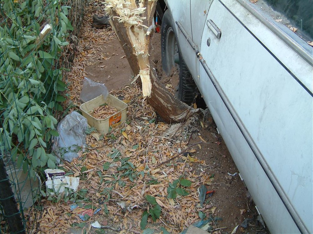 DSCF0925.jpg
