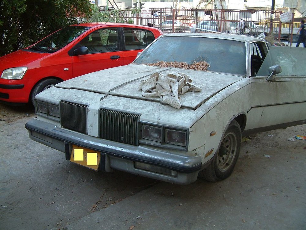DSCF0928.jpg