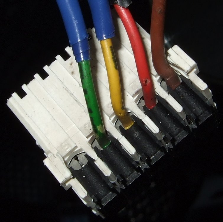 DSCF1062.JPG