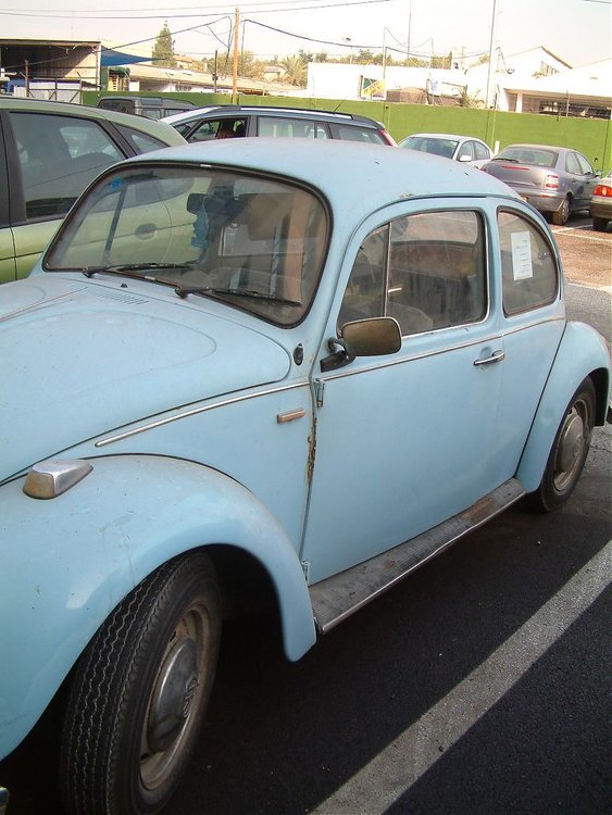 DSCF1158.jpg