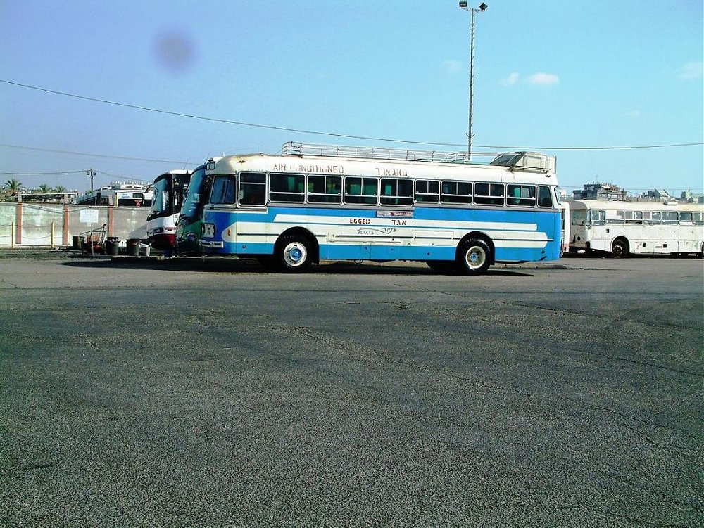 DSCF1233.jpg