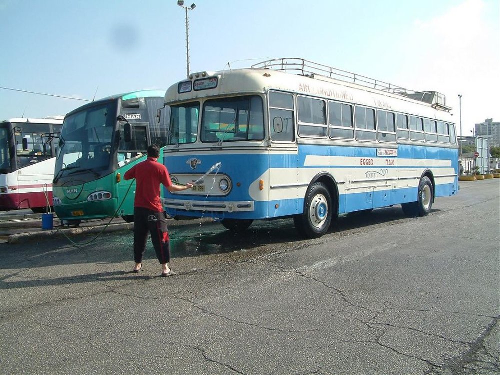 DSCF1236.jpg