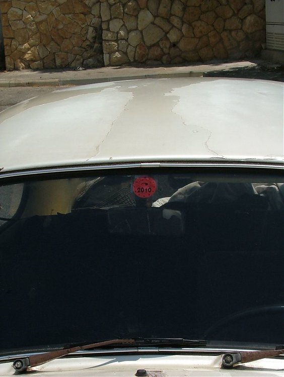 DSCF1384.jpg