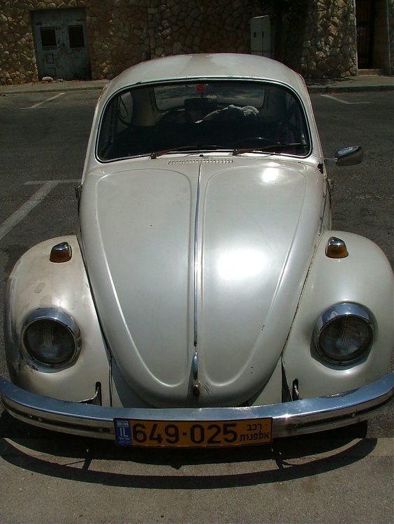 DSCF1385.jpg