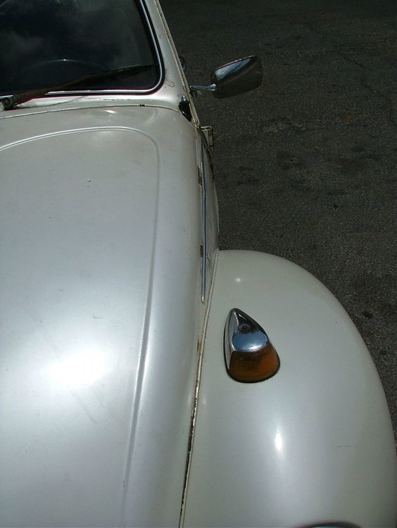 DSCF1398.jpg