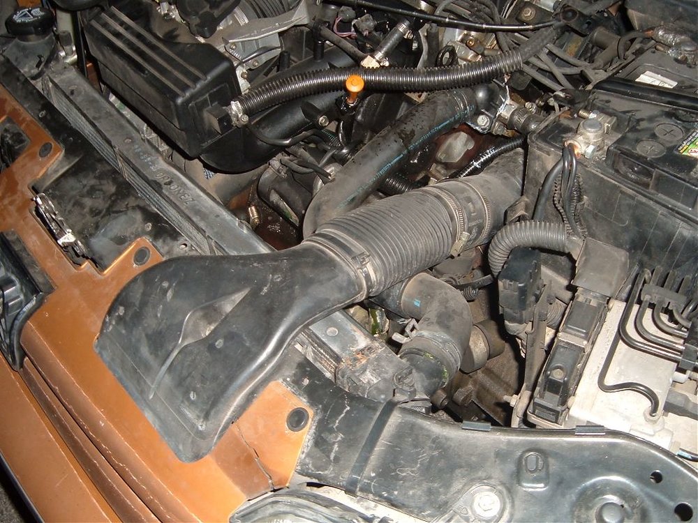 DSCF1479.jpg