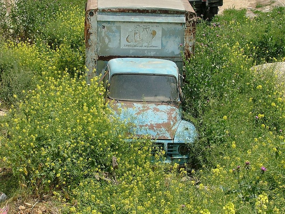 DSCF1492.jpg
