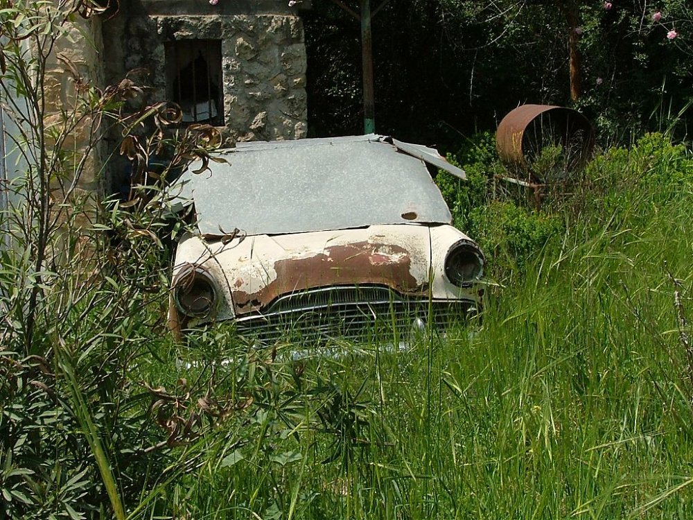 DSCF1505.jpg