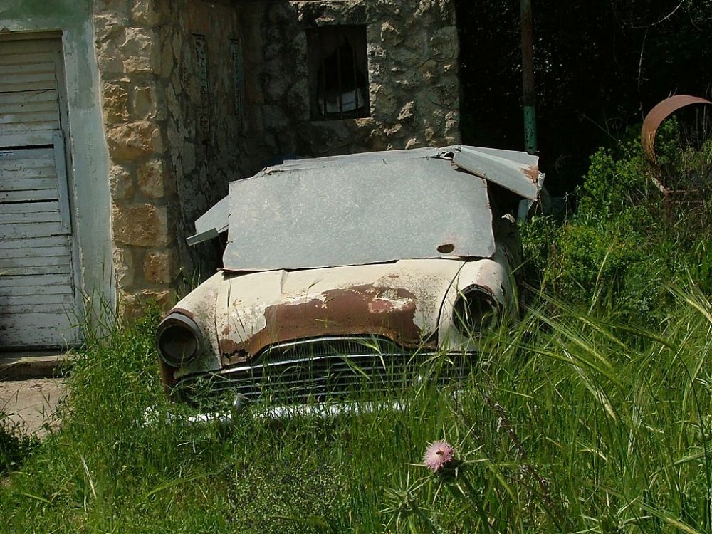 DSCF1508.jpg