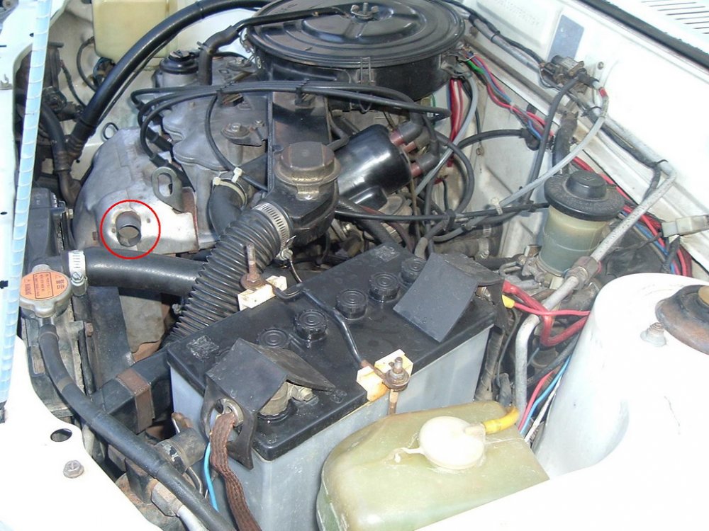 DSCF1561.JPG