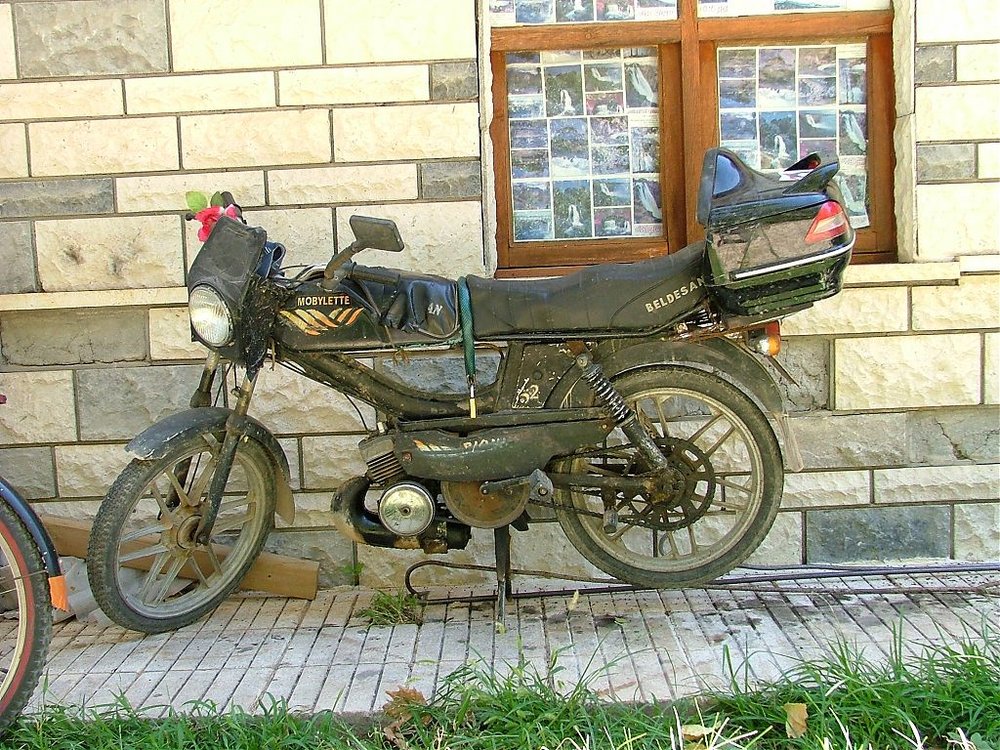 DSCF1651.jpg
