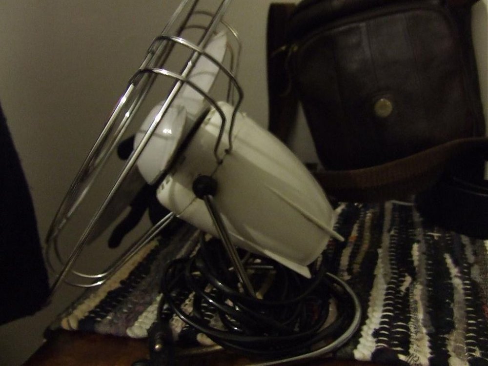 DSCF2267.jpg