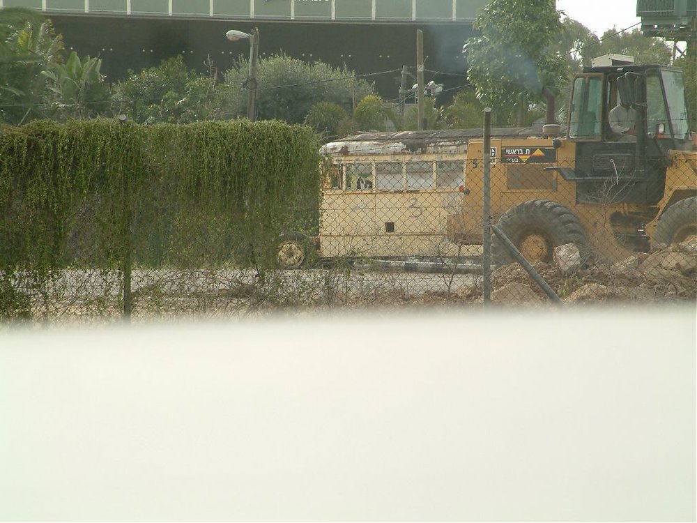 DSCF2474.jpg