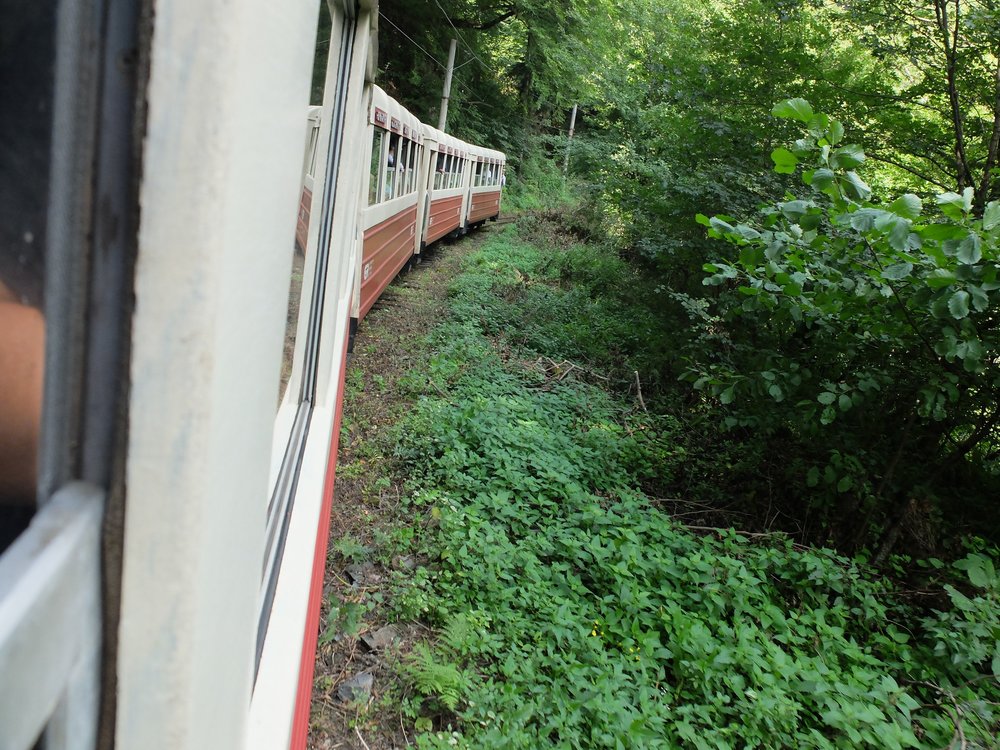DSCF2546.JPG