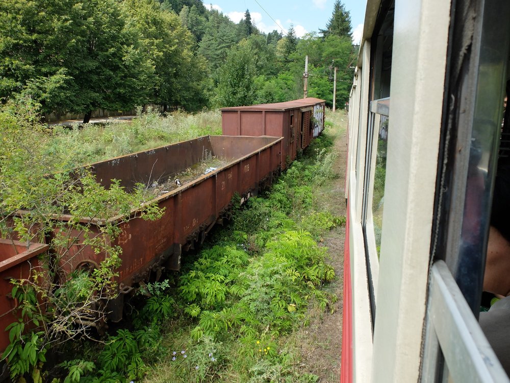 DSCF2617.JPG