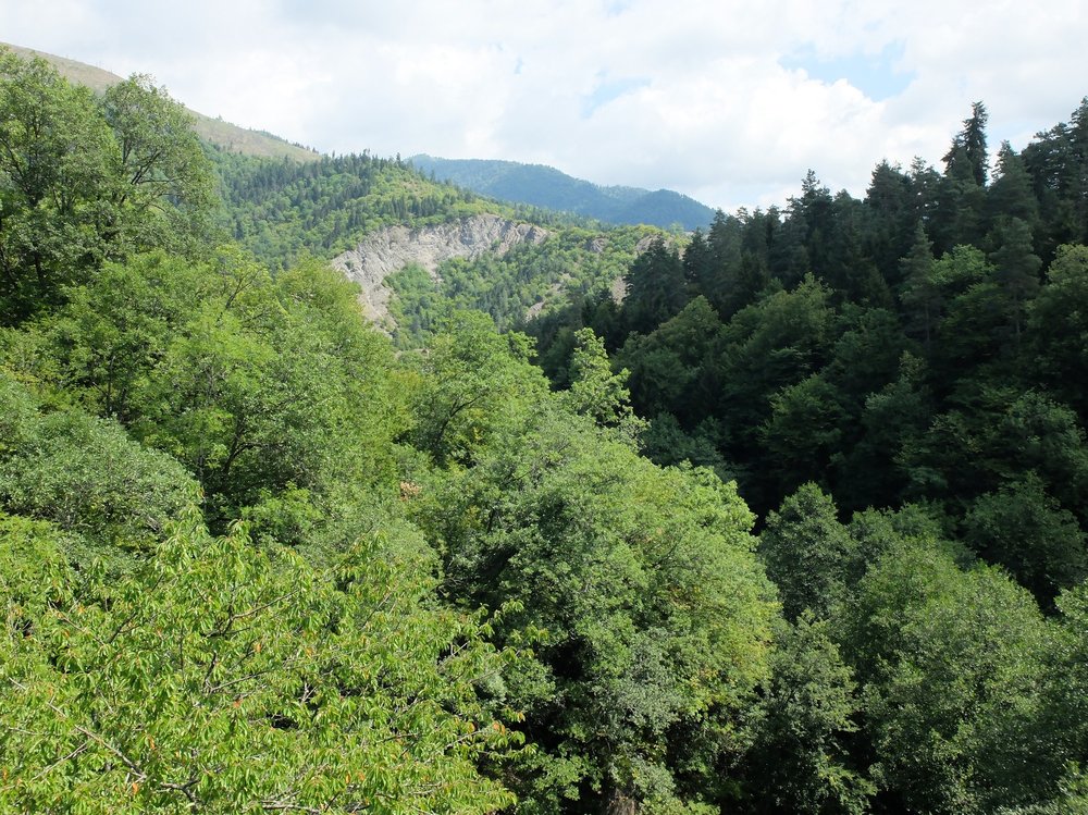 DSCF2631.jpg