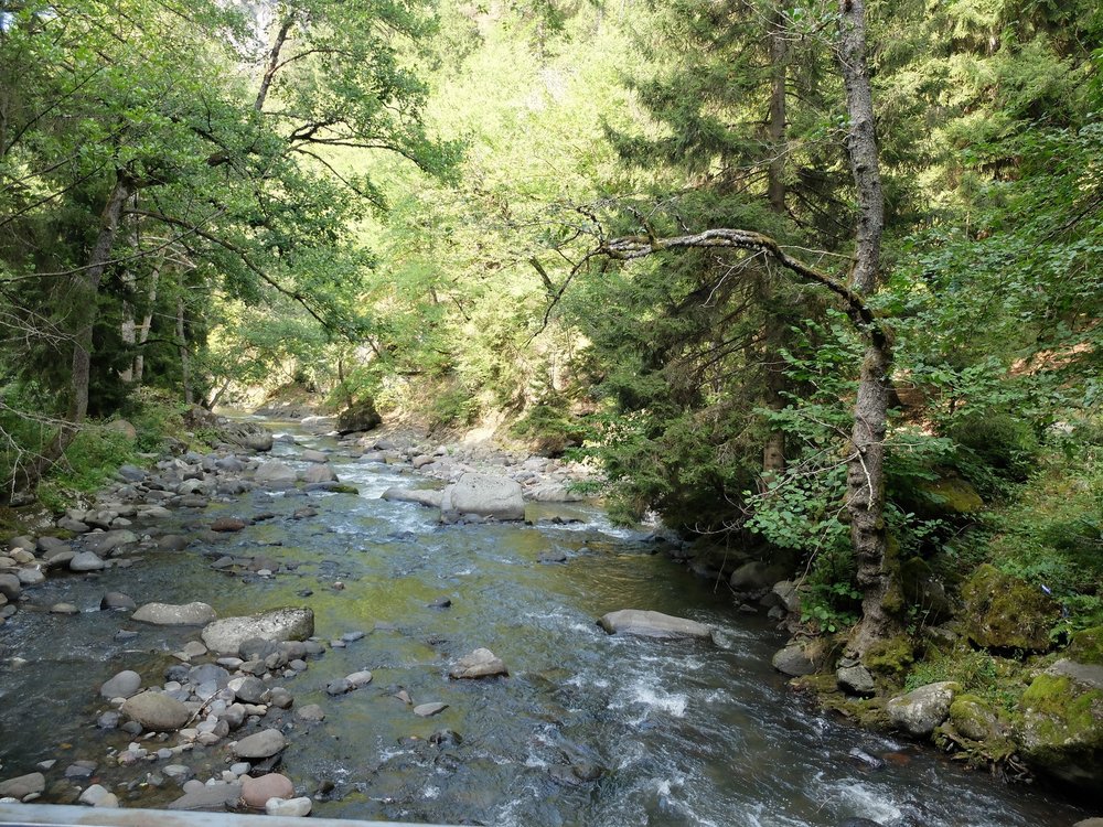 DSCF2733.jpg