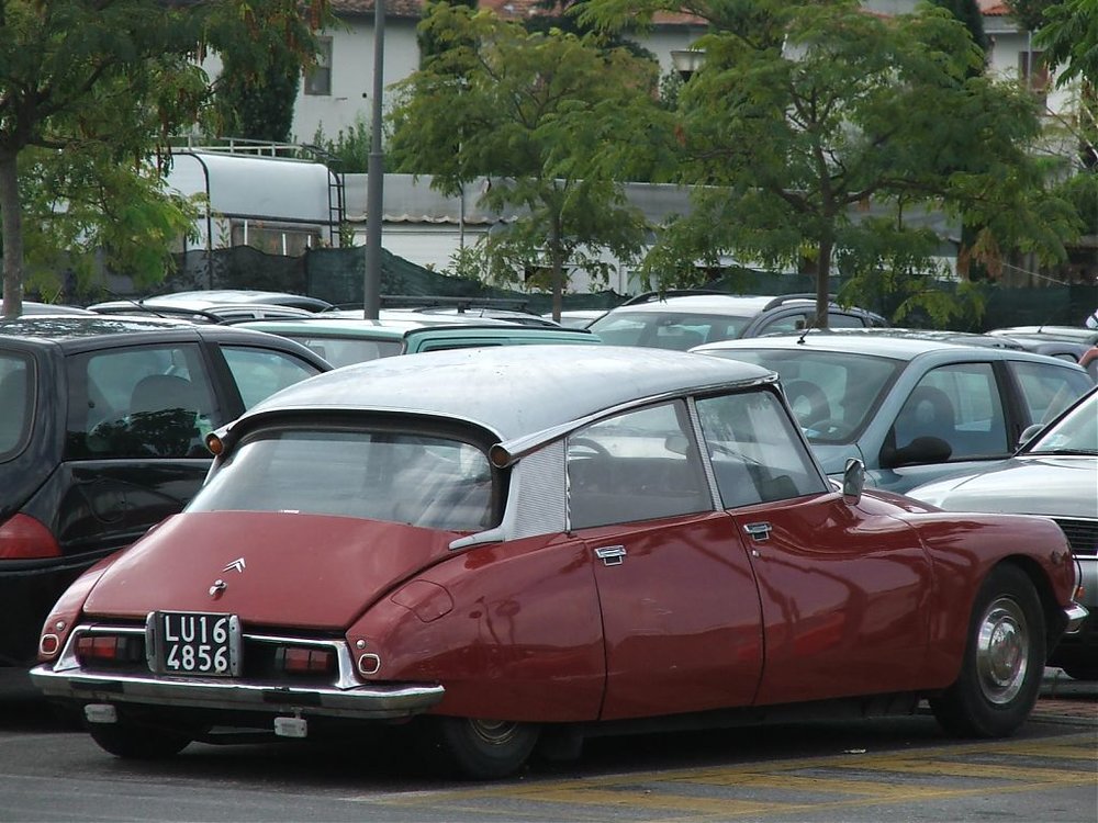 DSCF2784.jpg