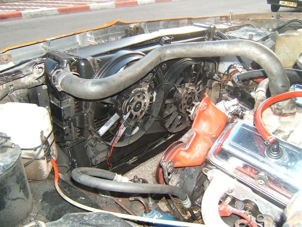 DSCF3519.jpg