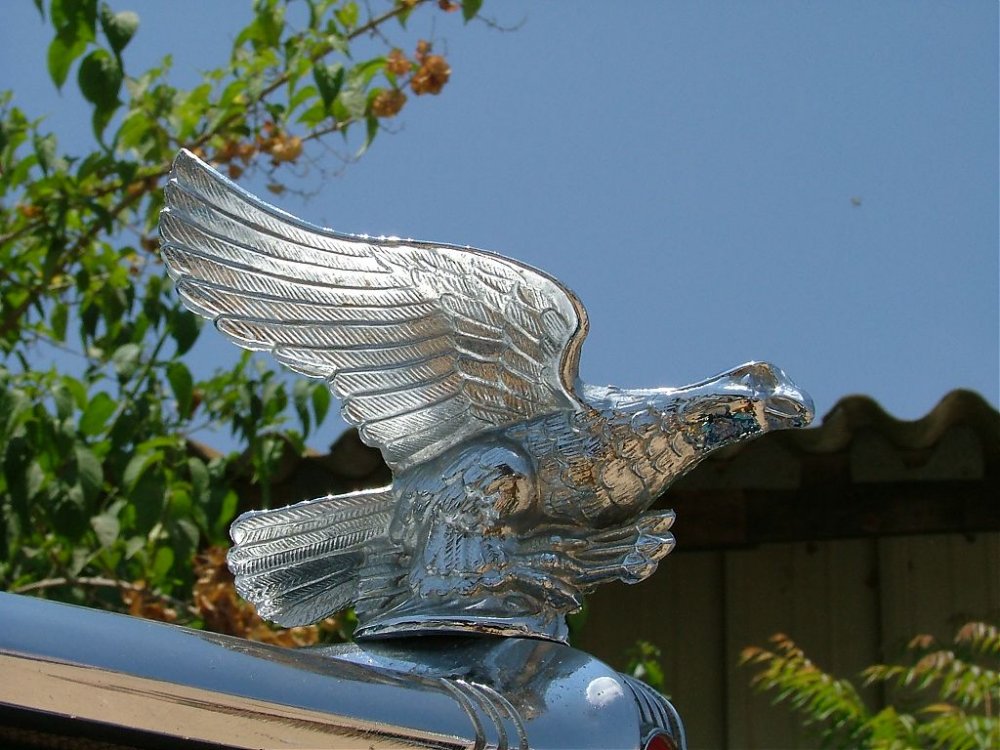 DSCF3755.jpg