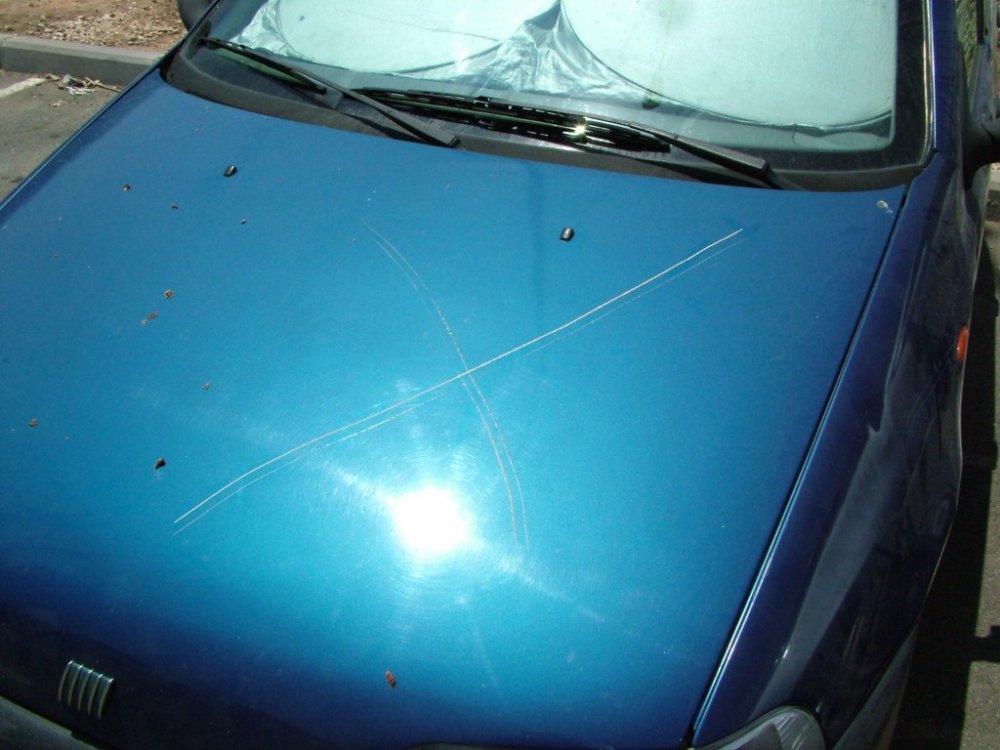 DSCF3817.JPG