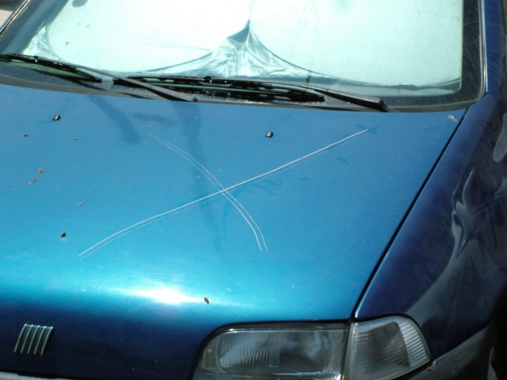 DSCF3818.JPG