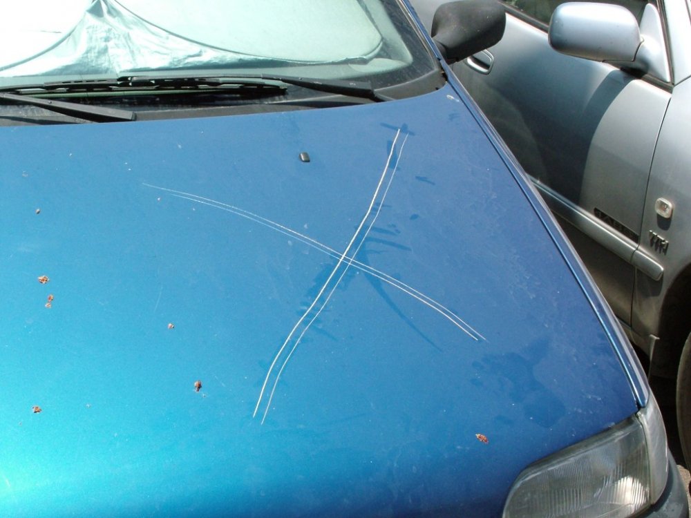 DSCF3819.JPG