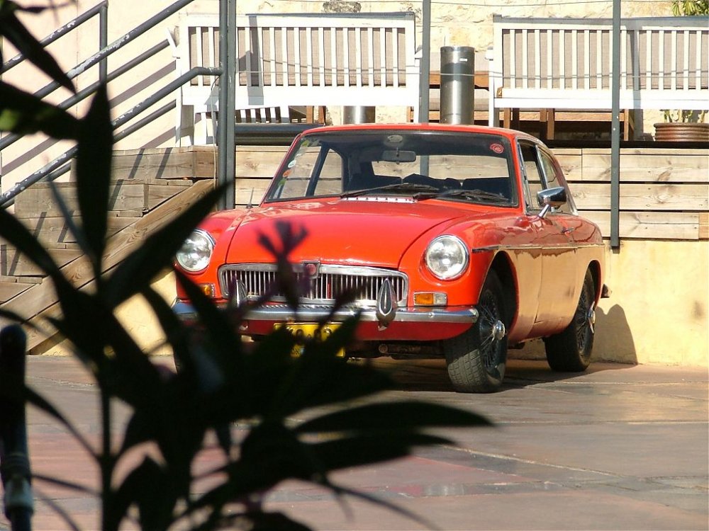 DSCF3862.jpg