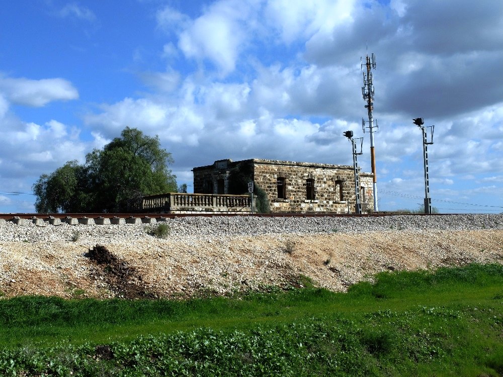 DSCF3930.JPG