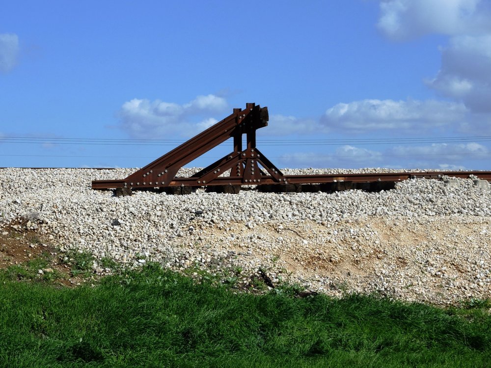 DSCF3931.jpg