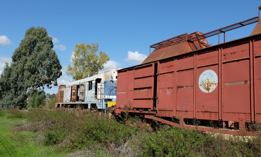 DSCF3956.JPG