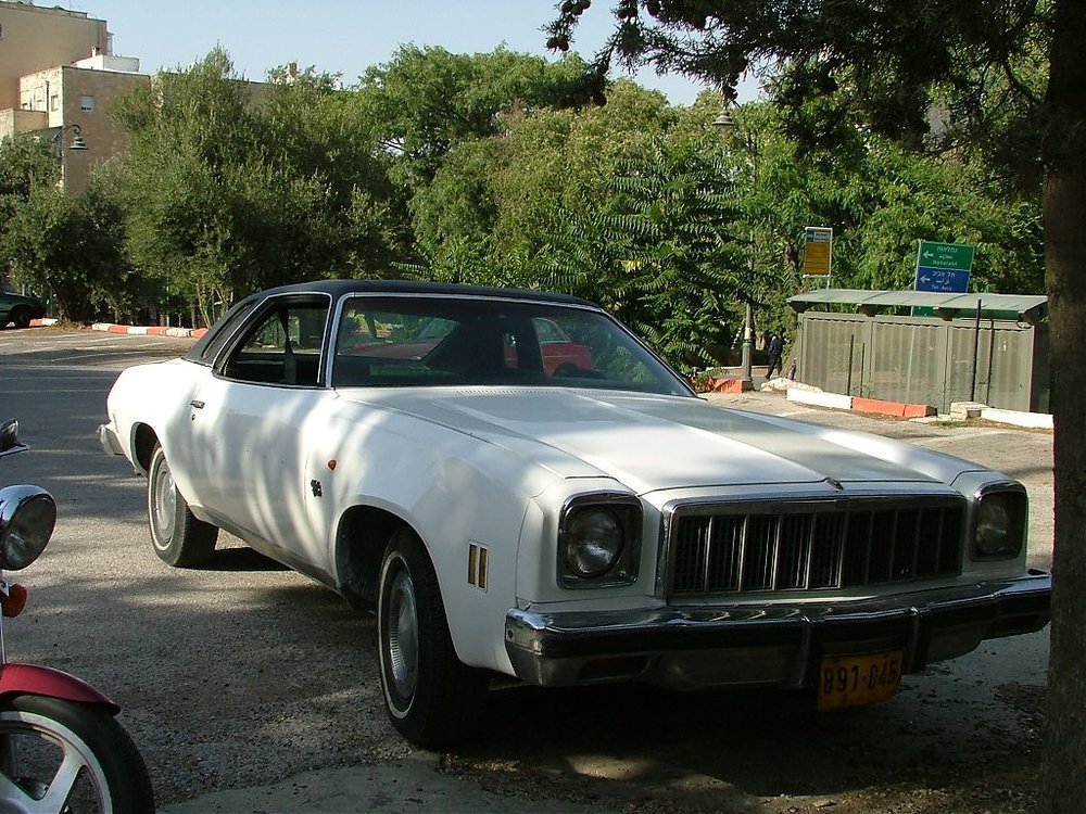 DSCF4475.jpg