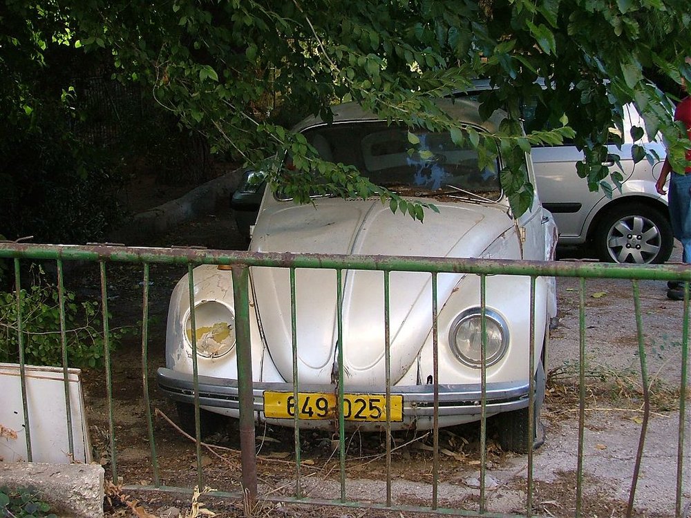 DSCF4571.jpg