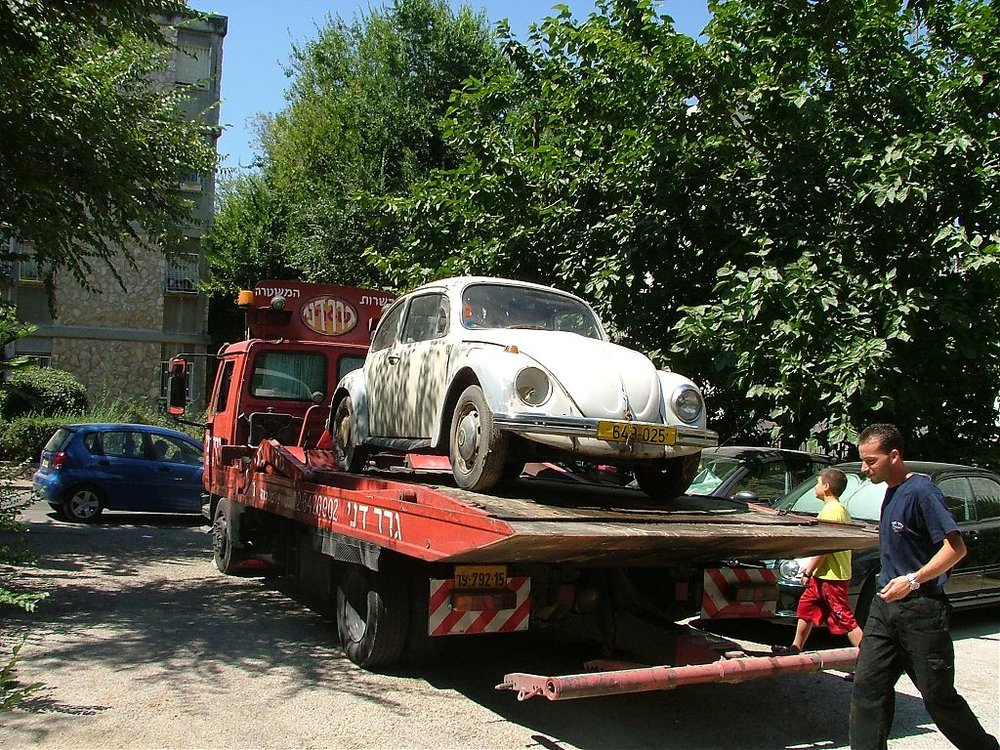 DSCF4619.jpg