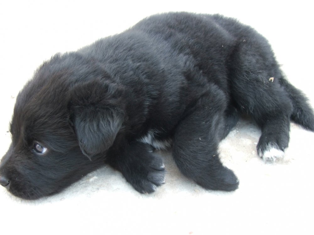 DSCF4636.JPG