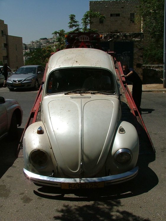 DSCF4639.jpg