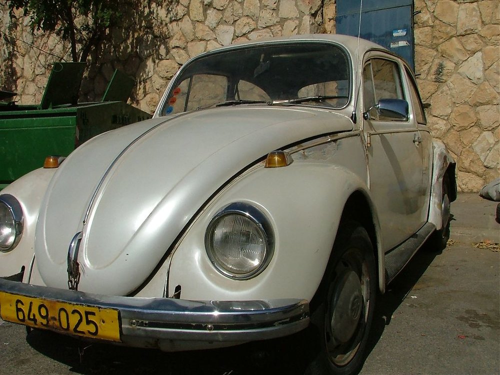 DSCF5365.jpg