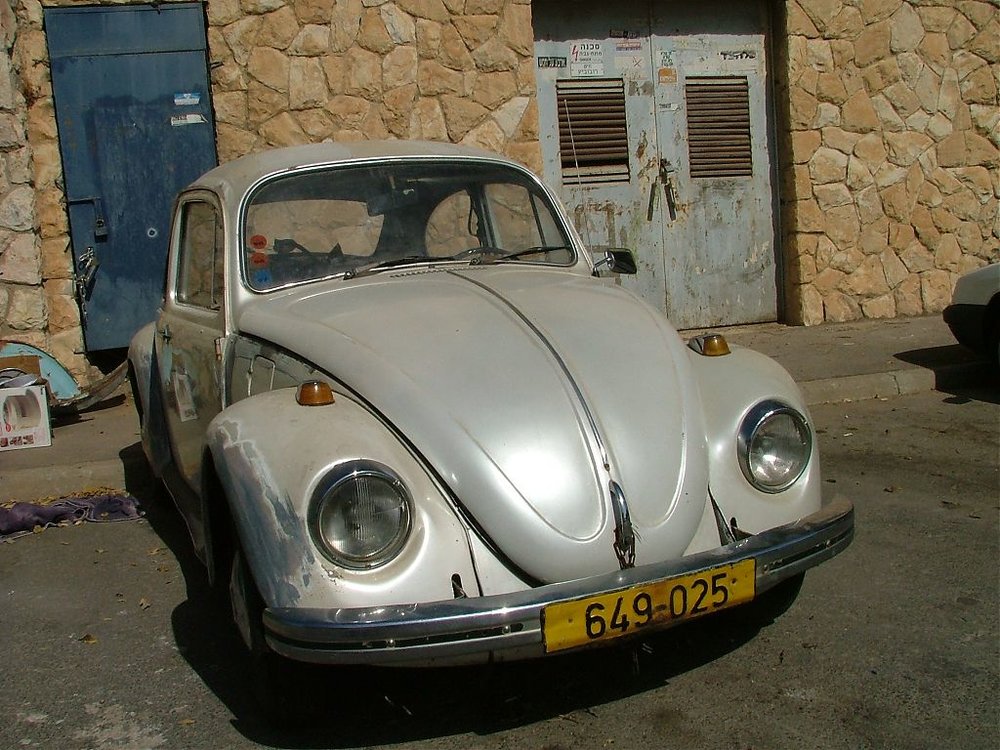 DSCF5366.jpg