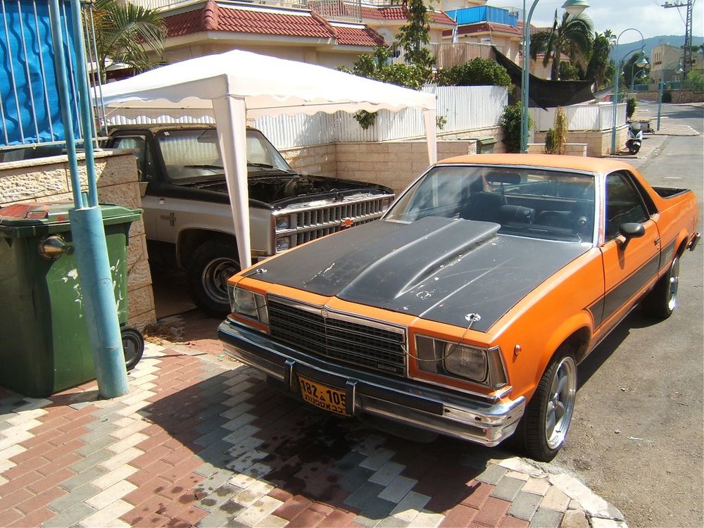 DSCF5582.jpg