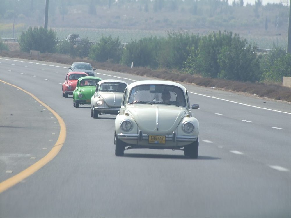 DSCF6214.jpg