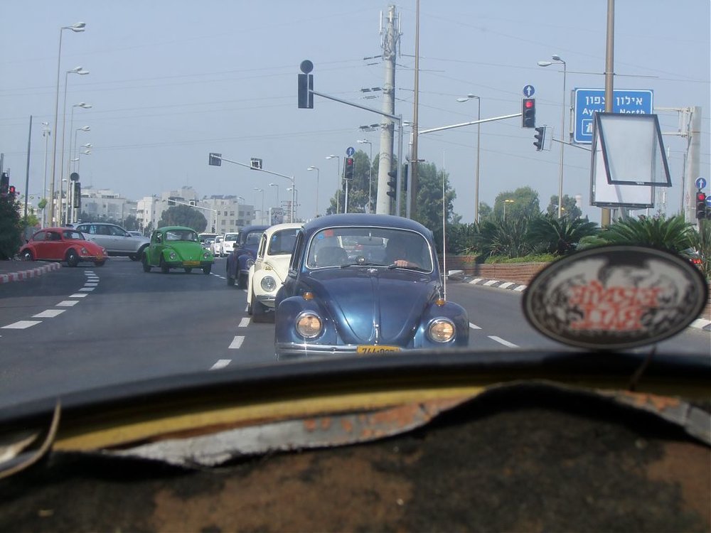 DSCF6217.jpg