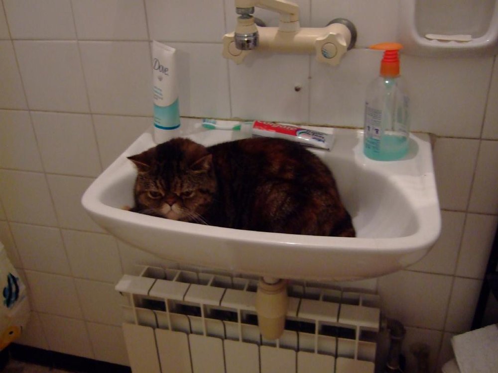 DSCF6871.jpg