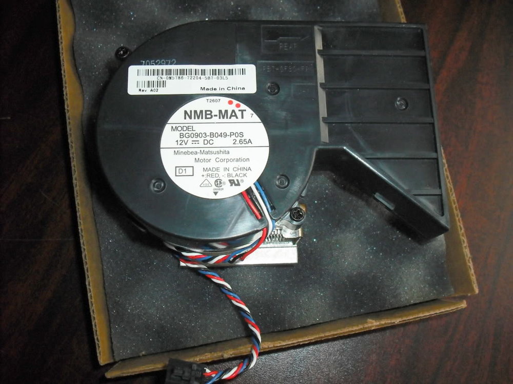 DSCF7174.jpg