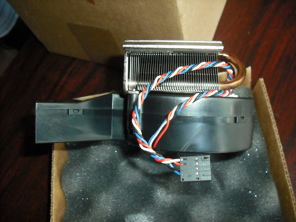 DSCF7178.jpg