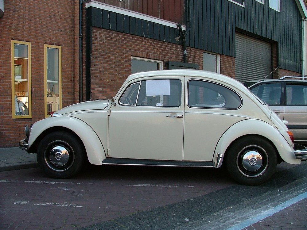 DSCF7457.jpg