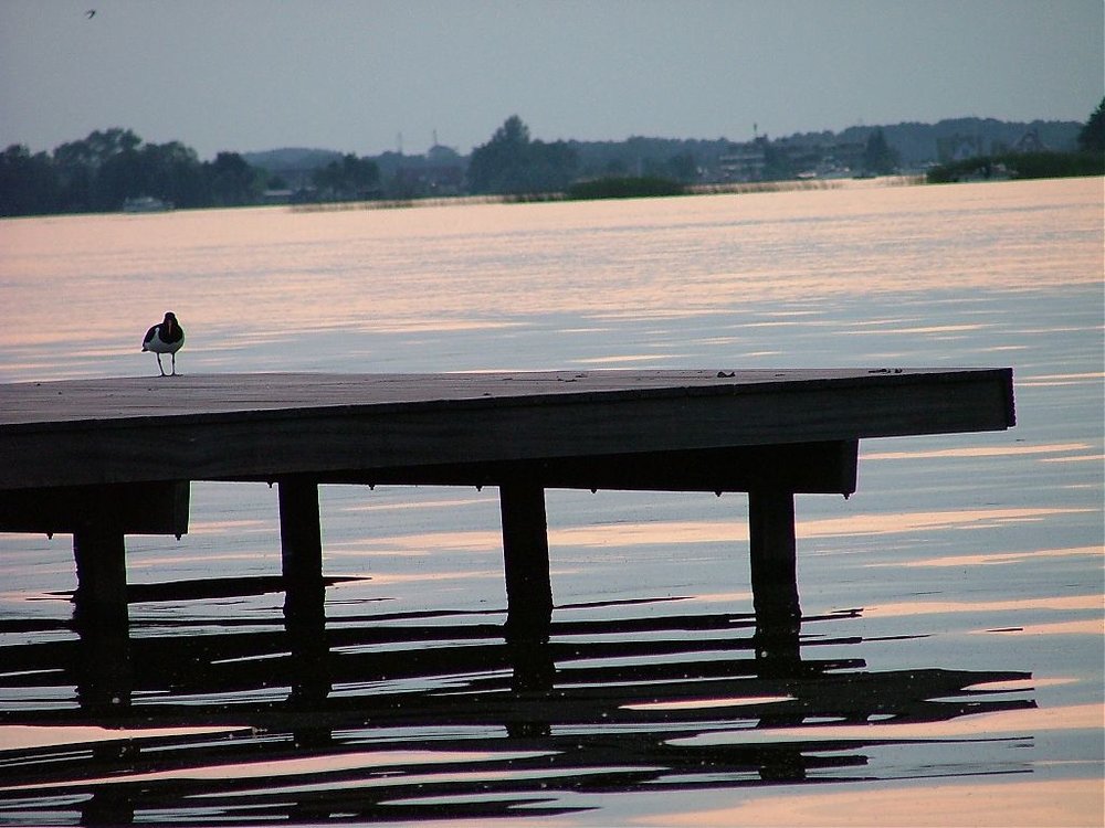DSCF7475.jpg