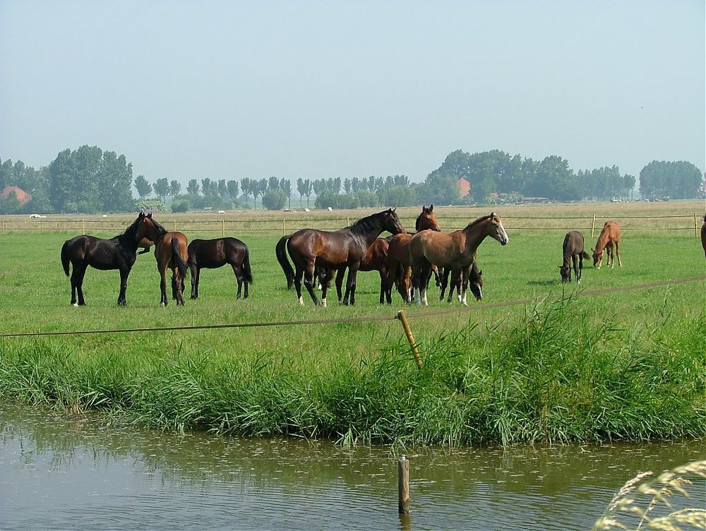 DSCF7638.jpg