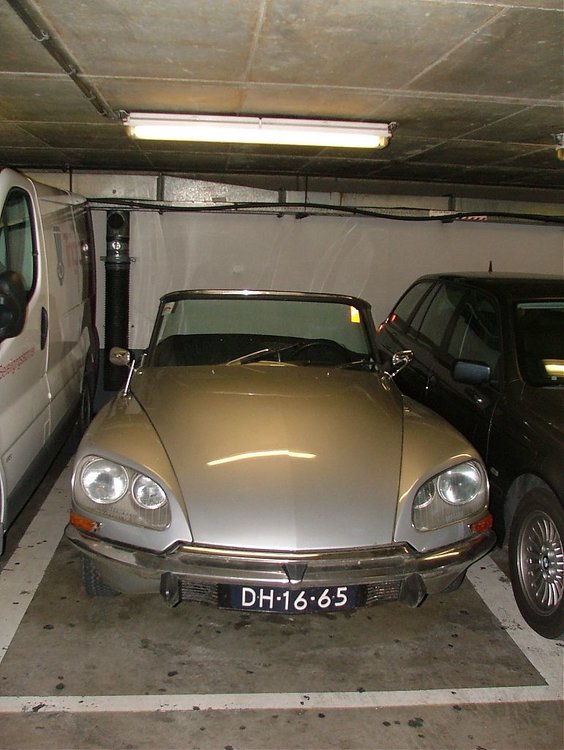 DSCF7781.jpg