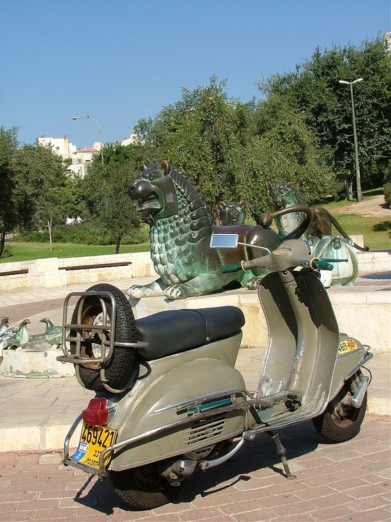 DSCF8575.jpg